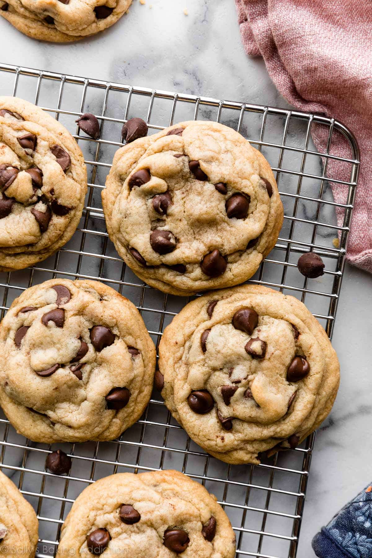 Chocolate Cookie